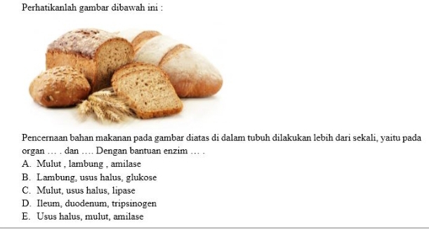 Perhatikanlah gambar dibawah ini :
Pencernaan bahan makanan pada gambar diatas di dalam tubuh dilakukan lebih dari sekali, yaitu pada
organ … . dan … Dengan bantuan enzim … .
A. Mulut , lambung , amilase
B. Lambung, usus halus, glukose
C. Mulut, usus halus, lipase
D. Ileum, duodenum, tripsinogen
E. Usus halus, mulut, amilase