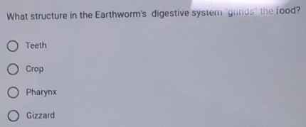 What structure in the Earthworm's digestive system "grinds" the food?
Teeth
Crop
Pharynx
Gizzard