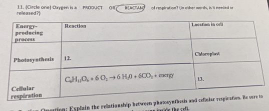 (Circle one) Oxygen is a PRODUCT OR REACTAN of respiration? (In other words, is it needed or
released?)
tion: Explain the relationship between pho