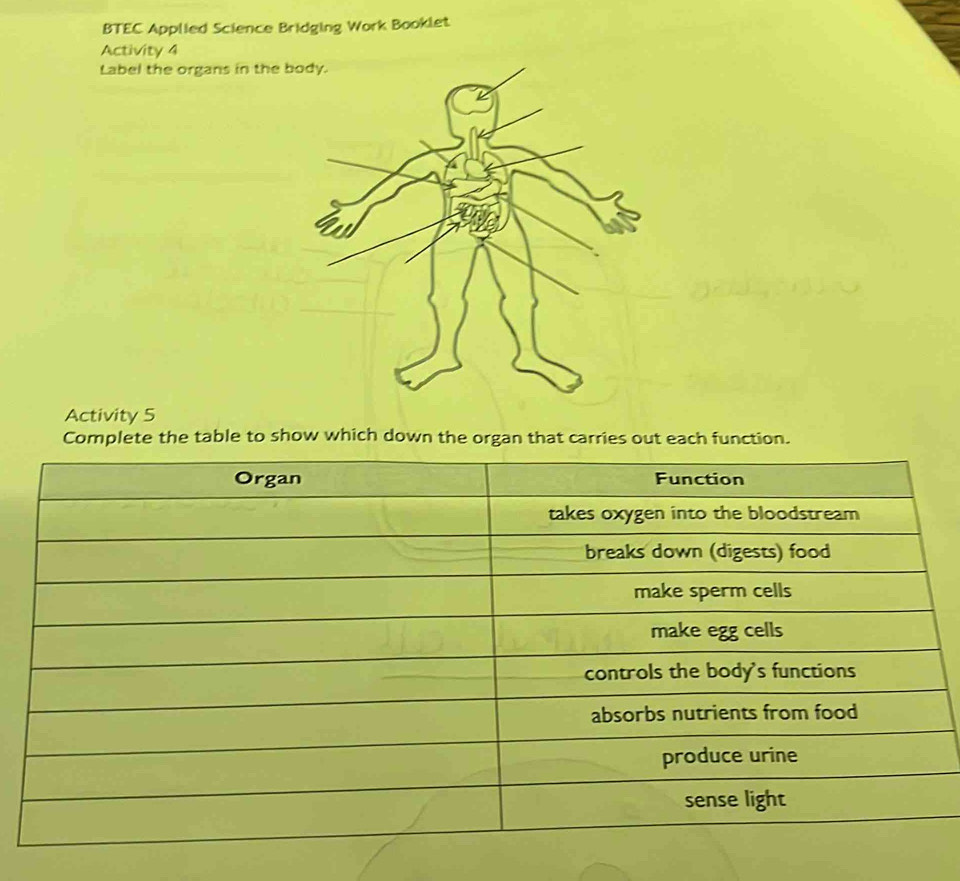 BTEC Applied Science Bridging Work Booklet 
Activity 4 
Label the organs in the 
Activity 5 
Complete the table to show which down the organ that carries out each function.