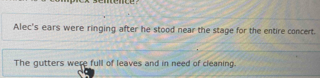 nence?
Alec's ears were ringing after he stood near the stage for the entire concert.
The gutters were full of leaves and in need of cleaning.