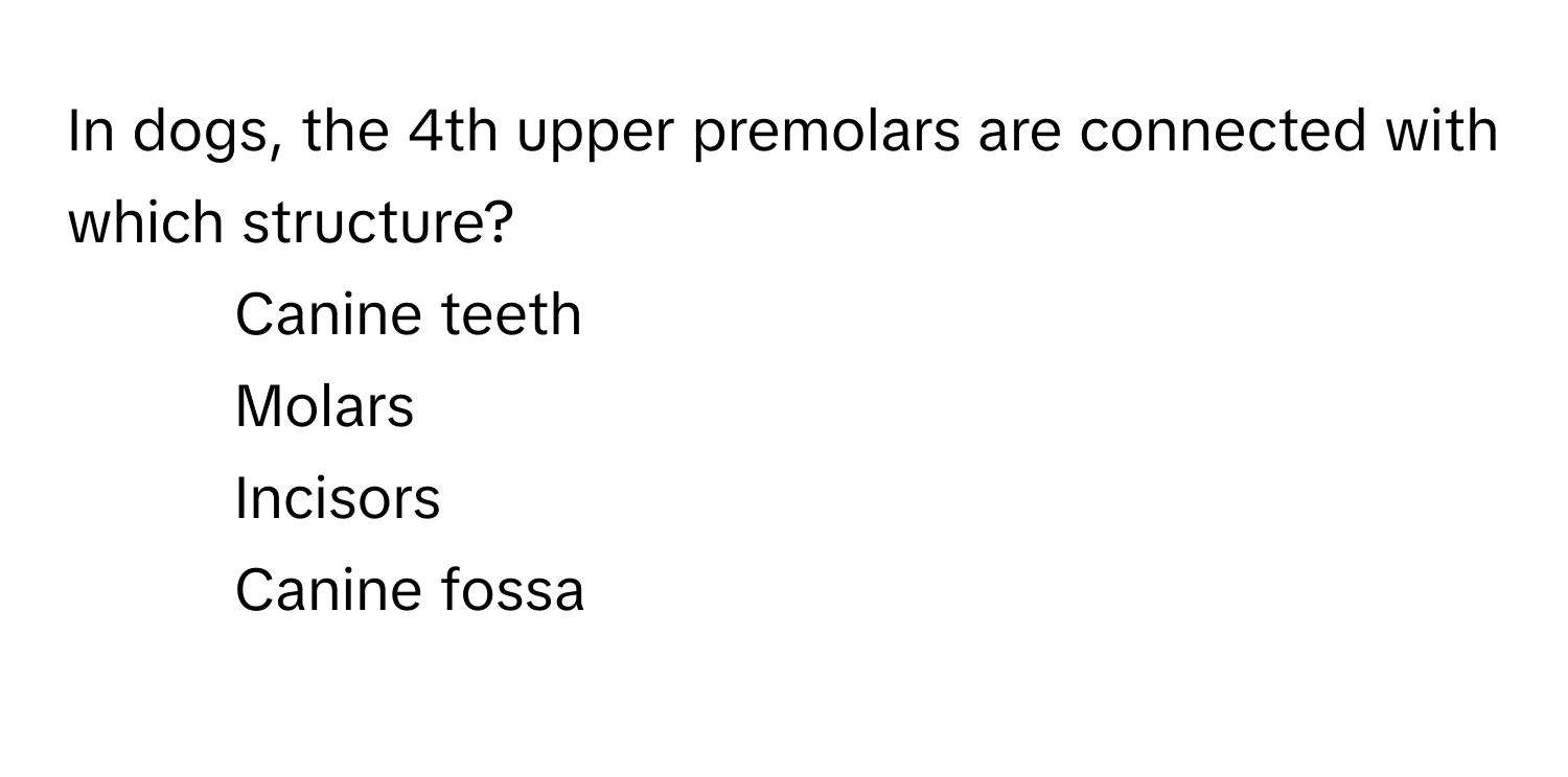 In dogs, the 4th upper premolars are connected with which structure?

1) Canine teeth 
2) Molars 
3) Incisors 
4) Canine fossa