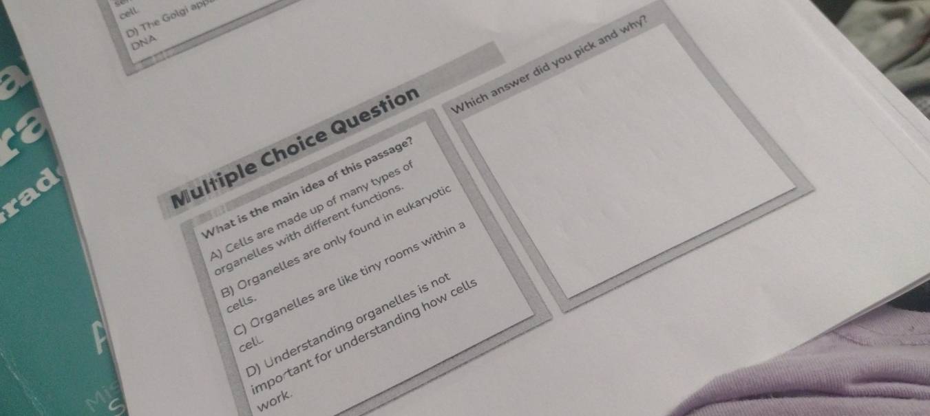 cell 
D) The Golgi app 
DNA 
ε 
Vhat is the main idea of this passage Which answer did you pick and why 
rad 
Multiple Choice Questior 
) Cells are made up of many types c 
rganelles with different function 
) Organelles are only found in eukaryot 
) Organelles are like tiny rooms within 
cells. 
) Understanding organelles is no 
mportant for understanding how cel 
cell. 
work.
