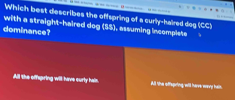 Matriana Marhoa E Bara
Which best describes the offspring of a curly-haired dog (CC)
with a straight-haired dog (SS), assuming incomplete
dominance?
All the offspring will have curly hain All the offspring will have wavy hair.