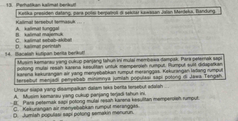 Perhatikan kalimat berikut!
Ketika presiden datang, para polisi berpatroli di sekitar kawasan Jalan Merdeka, Bandung.
Kalimat tersebut termasuk ... .
A. kalimat tunggal
B. kalimat majemuk
C. kalimat sebab-akibat
D. kalimat perintah
14. Bacalah kutipan berita berikut!
Musim kemarau yang cukup panjang tahun ini mulai membawa dampak. Para peternak sapi
potong mulai resah karena kesulitan untuk memperoleh rumput. Rumput sulit didapatkan
karena kekurangan air yang menyebabkan rumput meranggas. Kekurangan ladang rumput
tersebut menjadi penyebab minimnya jumlah populasi sapi potong di Jawa Tengah.
Unsur siapa yang disampaikan dalam teks berita tersebut adalah ...
A. Musim kemarau yang cukup panjang terjadi tahun ini.
B. Para peternak sapi potong mulai resah karena kesulitan memperoleh rumput.
C. Kekurangan air menyebabkan rumput meranggas.
D. Jumlah populasi sapi potong semakin menurun.