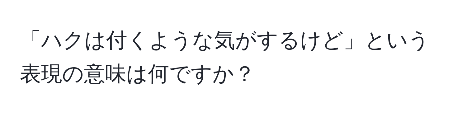 「ハクは付くような気がするけど」という表現の意味は何ですか？