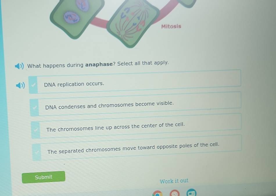 What happens during anaphase? Select all that apply.
DNA replication occurs.
DNA condenses and chromosomes become visible.
The chromosomes line up across the center of the cell.
The separated chromosomes move toward opposite poles of the cell.
Submit
Work it out