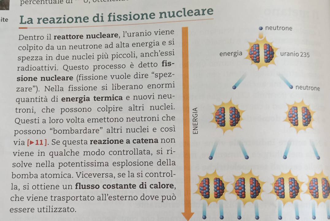 percentuale ' 
ite La reazione di fissione nucleare 
Dentro il reattore nucleare, l’uranio viene 
colpito da un neutrone ad alta energia e si 
spezza in due nuclei più piccoli, anch’essi 
radioattivi. Questo processo è detto fis- 
sione nucleare (fissione vuole dire “spez- 
zare”). Nella fissione si liberano enormi 
e 
quantità di energia termica e nuovi neu- 
troni, che possono colpire altri nuclei. 
Questi a loro volta emettono neutroni che 
possono “bombardare” altri nuclei e così 
via [▶ 11 ]. Se questa reazione a catena non 
viene in qualche modo controllata, si ri- 
solve nella potentissima esplosione della 
bomba atomica. Viceversa, se la si control- 
la, si ottiene un flusso costante di calore, 
che viene trasportato all’esterno dove può 
essere utilizzato.