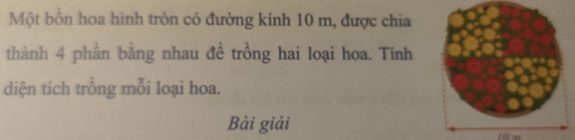 Một bồn hoa hình tròn có đường kính 10 m, được chia 
thành 4 phần bằng nhau đề trồng hai loại hoa. Tính 
diện tích trồng mỗi loại hoa. 
Bài giải
10 m