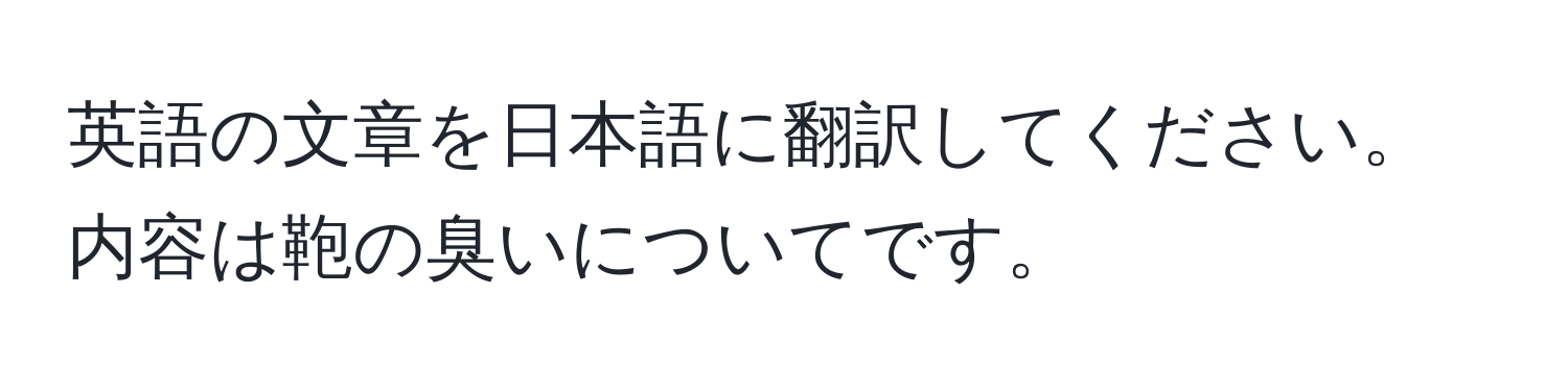 英語の文章を日本語に翻訳してください。内容は鞄の臭いについてです。