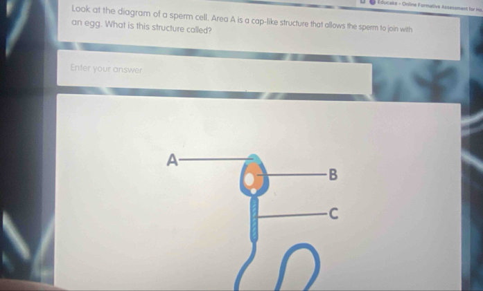 Educake - Online Formative Assessment for Ha. 
Look at the diagram of a sperm cell. Area A is a cap-like structure that allows the sperm to join with 
an egg. What is this structure called? 
Enter your answer