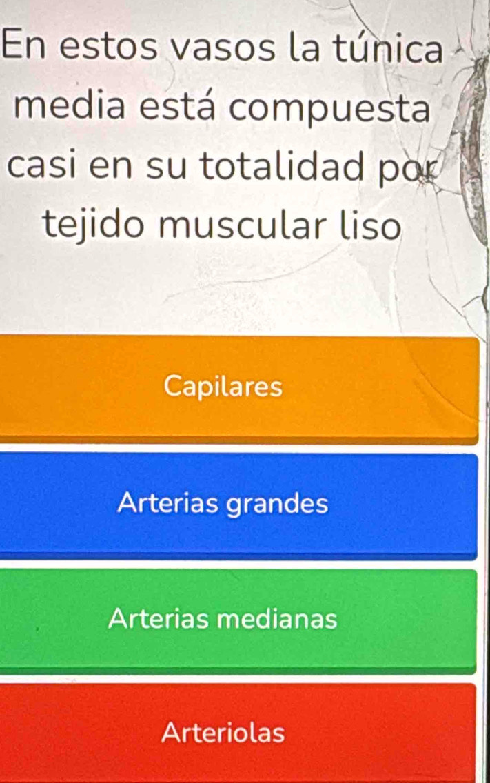 En estos vasos la túnica
media está compuesta
casi en su totalidad por
tejido muscular liso
Capilares
Arterias grandes
Arterias medianas
Arteriolas