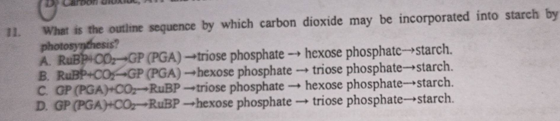 Carbón dioxn
11. What is the outline sequence by which carbon dioxide may be incorporated into starch by
photosynthesis?
A. RuBP+CO_2to GP(PGA) →triose phosphate → hexose phosphate→starch.
B. RuBP+CO_2to GP(PGA) →hexose phosphate → triose phosphate→starch.
C. GP(PGA)+CO_2to RuBP →triose phosphate → hexose phosphate→starch.
D. GP(PGA)+CO_2to RuBP →hexose phosphate → triose phosphate→starch.