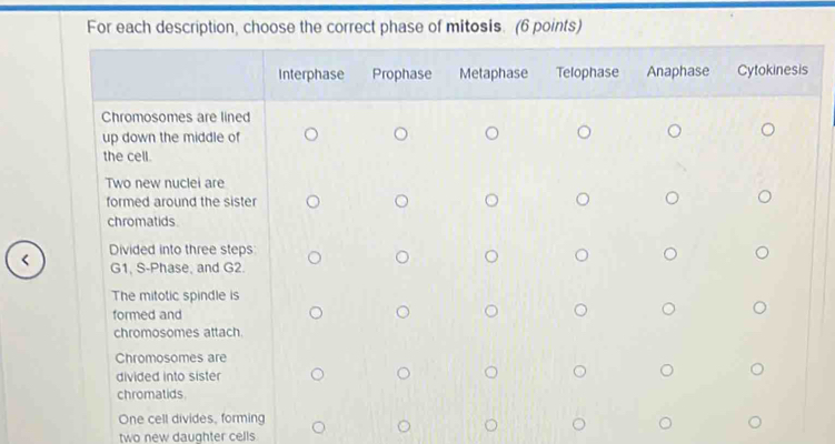 For each description, choose the correct phase of mitosis. (6 points) 
< 
two new daughter cells