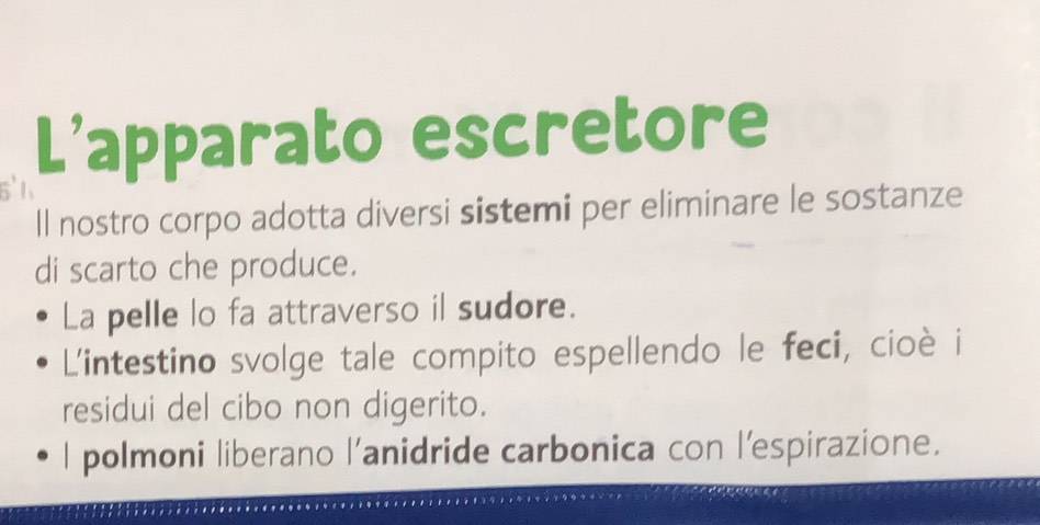 L’apparato escretore
5`
ll nostro corpo adotta diversi sistemi per eliminare le sostanze
di scarto che produce.
La pelle lo fa attraverso il sudore.
L'intestino svolge tale compito espellendo le feci, cioè i
residui del cibo non digerito.
l polmoni liberano l'anidride carbonica con l’espirazione.