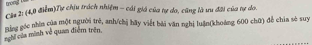 trong D 
Câu 2: (4,0 điểm)Tự chịu trách nhiệm - cái giá của tự do, cũng là ưu đãi của tự do. 
Bằng góc nhìn của một người trẻ, anh/chị hãy viết bài văn nghị luận(khoảng 600 chữ) để chia sẻ suy 
nghĩ của mình về quan điềm trên.