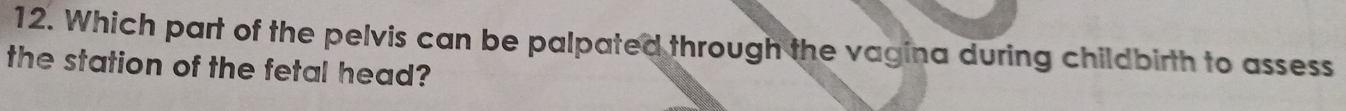 Which part of the pelvis can be palpated through the vagina during childbirth to assess 
the station of the fetal head?