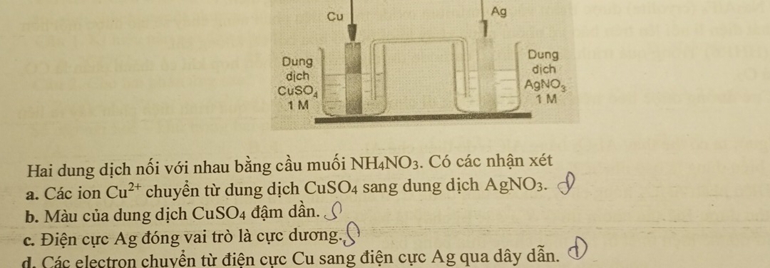 Hai dung dịch nối với nhau bằng cầu muối NH_4NO_3. Có các nhận xét
a. Các ion Cu^(2+) chuyền từ dung dịch CuSO_4 sang dung dịch AgN 1O3.
b. Màu của dung dịch . CuSO_4 đậm dần.
c. Điện cực Ag đóng vai trò là cực dương.
d. Các electron chuyển từ điện cực Cu sang điện cực Ag qua dây dẫn.