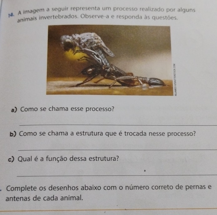 A imagem a seguir representa um processo realizado por alguns 
animais invertebrados. Observe-a e responda às questões. 
a) Como se chama esse processo? 
_ 
b) Como se chama a estrutura que é trocada nesse processo? 
_ 
c) Qual é a função dessa estrutura? 
_ 
Complete os desenhos abaixo com o número correto de pernas e 
antenas de cada animal. 
_ 
_ 
_ 
_