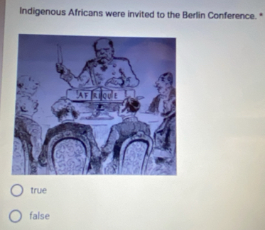 Indigenous Africans were invited to the Berlin Conference. *
true
false