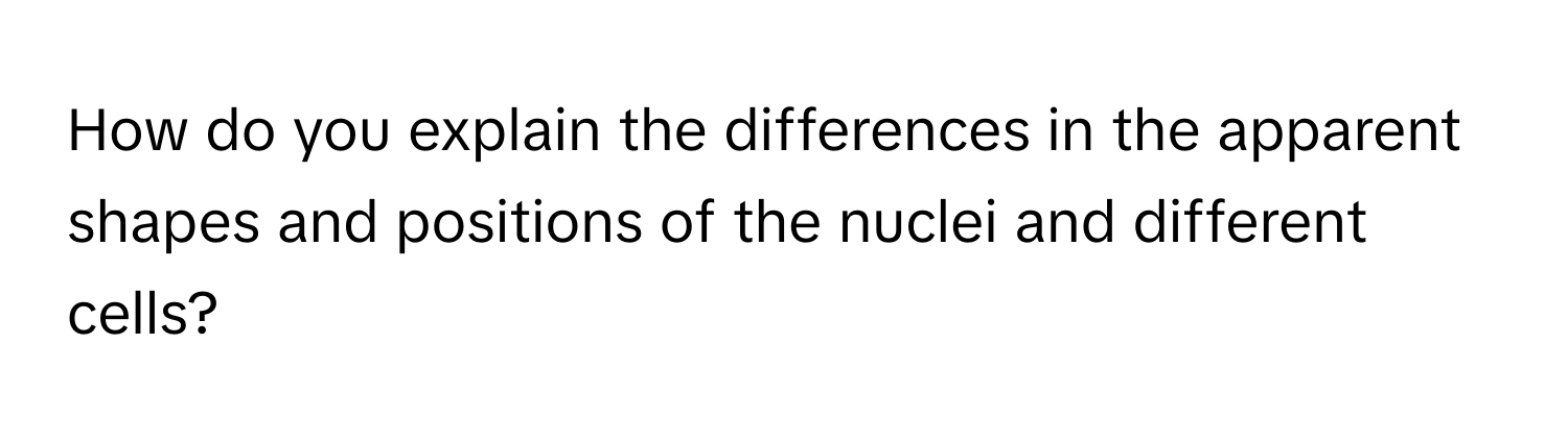 How do you explain the differences in the apparent shapes and positions of the nuclei and different cells?