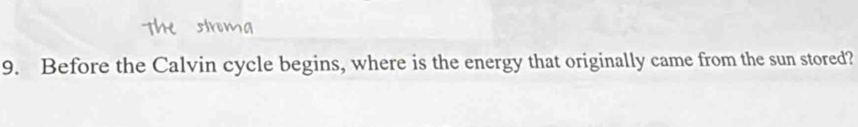 Before the Calvin cycle begins, where is the energy that originally came from the sun stored?