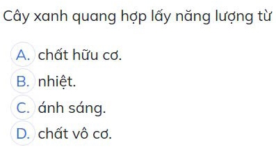 Cây xanh quang hợp lấy năng lượng từ
A. chất hữu cơ.
B. nhiệt.
C. ánh sáng.
D. chất vô cơ.