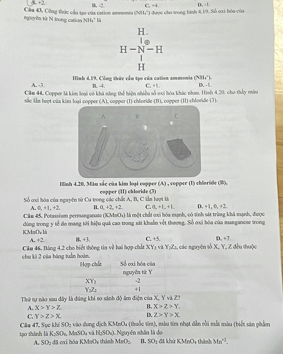 . +2 B, -2. C. +4. D. - 1
Câu 43. Công thức cấu tạo của cation ammonia (NH_4^(+) được cho trong hình 4.19. Số oxỉ hóa của
nguyên từ N trong cation NH* là
H.
H-N-H
H
Hình 4.19. Công thức cấu tạo của cation ammonia (NH_4^+).
A. -3. B. -4. C. +1. D. -1.
Câu 44. Copper là kim loại có khả năng thể hiện nhiều số oxi hóa khác nhau. Hình 4.20. cho thấy màu
sắc lần lượt của kim loại copper (A), copper (I) chloride (B), copper (II) chloride (3).
Hình 4.20. Màu sắc của kim loại copper (A) , copper (I) chloride (B),
copper (II) chloride (3)
Số oxi hóa của nguyên tử Cu trong các chất A, B, C lần lượt là
A. 0, +1, +2. B. 0, +2, +2. C. 0, +1, +1. D. +1, 0, +2.
Câu 45. Potassium permanganate () KMnO_4)) là một chất oxi hóa mạnh, có tính sát trùng khá mạnh, được
dùng trong y tế do mang tới hiệu quả cao trong sát khuẩn vết thương. Số oxi hóa của manganese trong
KMnO4 là
A. +2. B. +3. C. +5. D. +7.
Câu 46. Bảng 4.2 cho biết thông tin về hai hợp chất XY_2 và Y_2Z_2 2, các nguyên tố X, Y, Z đều thuộc
chu kì 2 của bảng tuần hoàn.
Thứ tự nào sau đây là đúng khi so sánh độ âm điện của X, Y và Z?
A. X>Y>Z.
B. X>Z>Y.
C. Y>Z>X. D. Z>Y>X.
Câu 47. Sục khí SO_2 vào dung dịch KMnO4 (thuốc tím), màu tím nhạt dần rồi mất màu (biết sản phầm
tạo thành là K_2SO_4,MnSO_4 và H_2SO_4). Nguyên nhân là do
A. SO_2 đã oxi hóa KM fnO_4 thành MnO_2. B. SO_2 dã khừ KMnO_4 thành Mn^(+2).