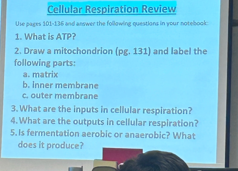 Cellular Respiration Review 
Use pages 101-136 and answer the following questions in your notebook 
1. What is ATP? 
2. Draw a mitochondrion (pg. 131) and label the 
following parts: 
a. matrix 
b. inner membrane 
c. outer membrane 
3. What are the inputs in cellular respiration? 
4. What are the outputs in cellular respiration? 
5.Is fermentation aerobic or anaerobic? What 
does it produce?