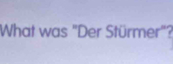 What was "Der Stürmer"?