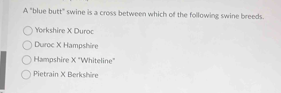 A “blue butt” swine is a cross between which of the following swine breeds.
Yorkshire X Duroc
Duroc X Hampshire
Hampshire X “Whiteline”
Pietrain X Berkshire