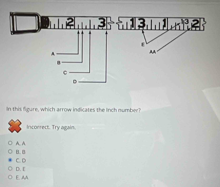 In this figure, which arrow indicates the Inch number?
Incorrect. Try again.
A. A
B. B
C. D
D. E
E. AA