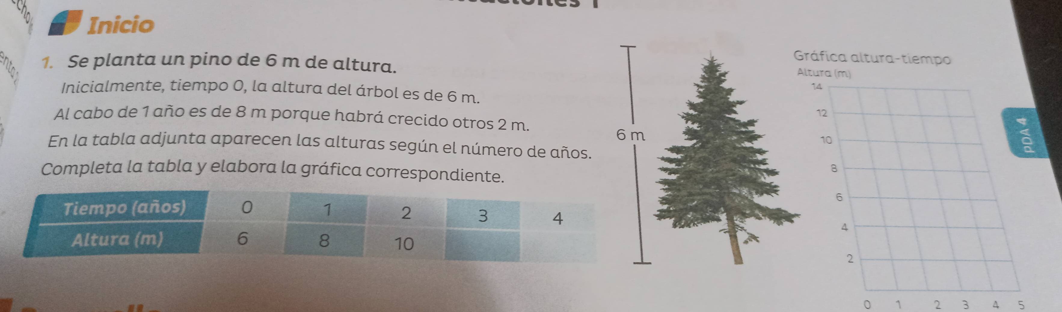 ch
Inicio
Gráfica altura-tiempo
1. Se planta un pino de 6 m de altura.
Inicialmente, tiempo 0, la altura del árbol es de 6 m.
Al cabo de 1 año es de 8 m porque habrá crecido otros 2 m.
6 m
En la tabla adjunta aparecen las alturas según el número de años.
Completa la tabla y elabora la gráfica correspondiente.
0 1 2 3 A 5