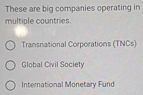 These are big companies operating in
multiple countries.
Transnational Corporations (TNCs)
Global Civil Society
International Monetary Fund