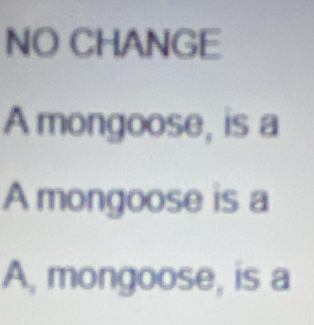 NO CHANGE
A mongoose, is a
A mongoose is a
A, mongoose, is a