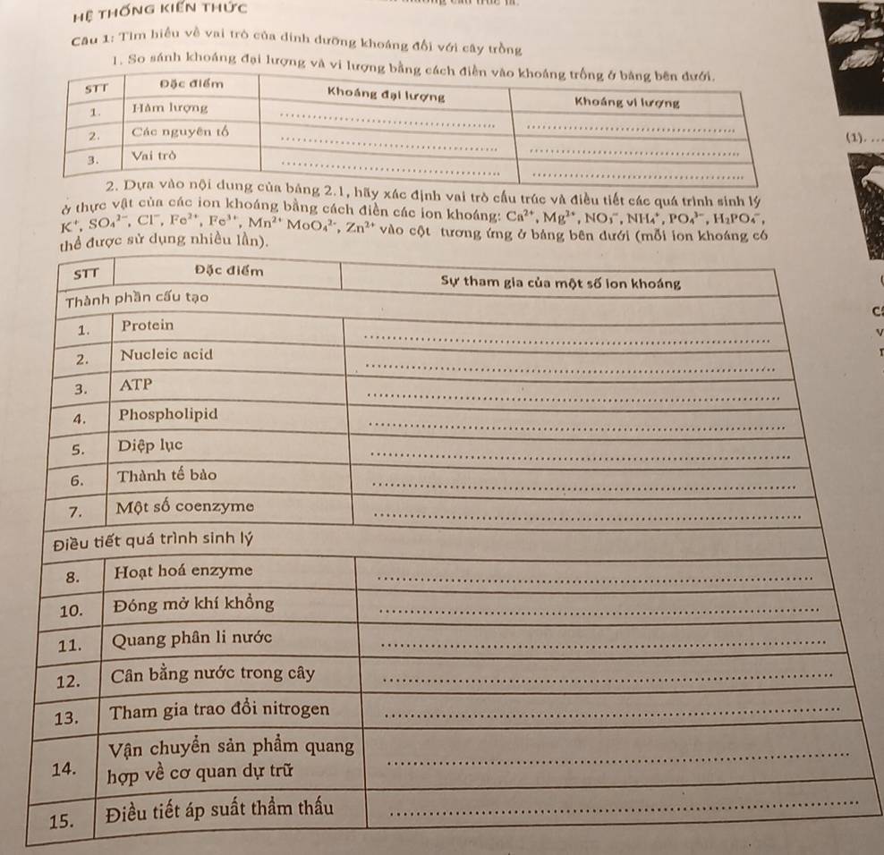 Hệ thống kiến thức 
Cầu 1: Tìm hiệu về vai trò của dinh đưỡng khoáng đổi với cây trồng 
1. So sánh khoáng đại lượng và 
(1). . 
y xác định vai trò cầu trúc và điều tiết các quá trình sinh lý 
* thực vật của các ion khoáng bằng cách điền các ion khoáng: Ca^(2+), Mg^(3+), NO_3^(-, NH_4^+, PO_4^(3-), H_2)PO_4^(-,
K^+), SO_4^((2-), Cl^-), Fe^(2+), Fe^(3+), Mn^(2+)MoO_4^((2-), Zn^2+) vào cột tương ứng ở bảng bên dưới (mỗi 
C