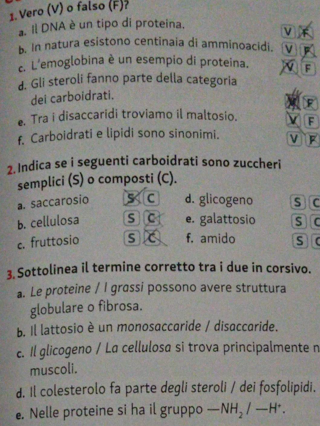 Vero (V) o falso (F)?
a. Il DNA è un tipo di proteina.
V
b. In natura esístono centinaia di amminoacidi. V
c. L'emoglobina è un esempio di proteina.
V F
d. Gli steroli fanno parte della categoria
dei carboidrati.
F
e. Tra i disaccaridi troviamo il maltosio.
F
f. Carboidrati e lipidi sono sinonimi.
V F
2. Indica se i seguenti carboidrati sono zuccheri
semplici (S) o composti (C).
5 C
a. saccarosio d. glicogeno s C
S C
b. cellulosa e. galattosio S C
S C f. amido
c. fruttosio S C
3. Sottolinea il termine corretto tra i due in corsivo.
a. Le proteine / l grassi possono avere struttura
globulare o fibrosa.
b. Il lattosio è un monosaccaride / disaccaride.
c. Il glicogeno / La cellulosa si trova principalmente n
muscoli.
d. Il colesterolo fa parte degli steroli / dei fosfolipidi.
e. Nelle proteine si ha il gruppo -NH_2/-H^+.