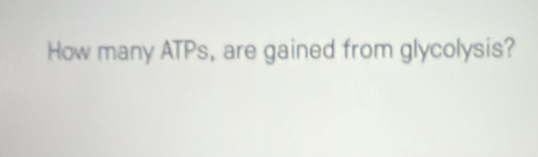 How many ATPs, are gained from glycolysis?