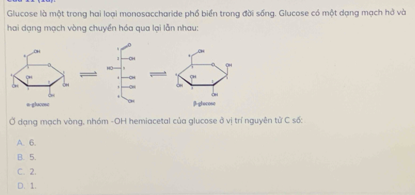 Glucose là một trong hai loại monosaccharide phổ biển trong đời sống. Glucose có một dạng mạch hở và
hai dạng mạch vòng chuyển hóa qua lại lẫn nhau:
Ở dạng mạch vòng, nhóm -OH hemiacetal của glucose ở vị trí nguyên tử C số:
A. 6.
B. 5.
C. 2.
D. 1.