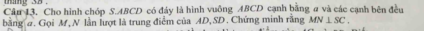 thang SB . 
Câu 13. Cho hình chóp S. ABCD có đáy là hình vuông ABCD cạnh bằng a và các cạnh bên đều 
bằng a. Gọi M, N lần lượt là trung điểm của AD, SD. Chứng minh rằng MN⊥ SC.