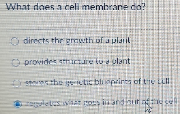 What does a cell membrane do?
directs the growth of a plant
provides structure to a plant
stores the genetic blueprints of the cell
regulates what goes in and out of the cell