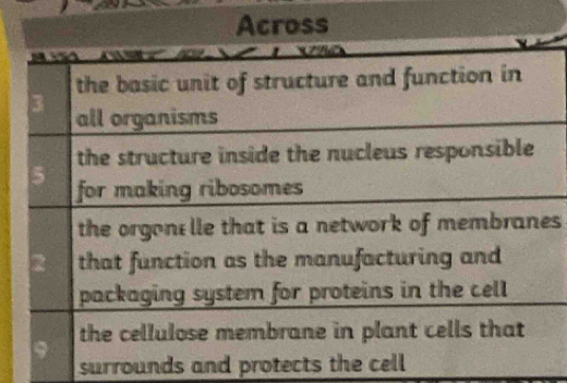 surrounds and protects the ce