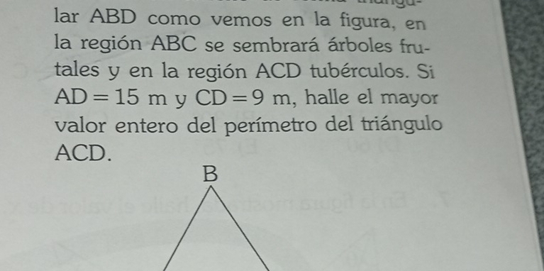 lar ABD como vemos en la figura, en 
la región ABC se sembrará árboles fru- 
tales y en la región ACD tubérculos. Si
AD=15m y CD=9m , halle el mayor 
valor entero del perímetro del triángulo
ACD.