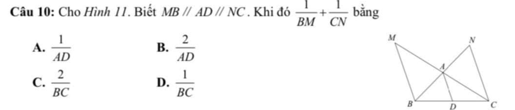 Cho Hình 11. Biết MBparallel ADparallel NC. Khi đó  1/BM + 1/CN  bằng
A.  1/AD   2/AD 
B.
C.  2/BC   1/BC 
D.