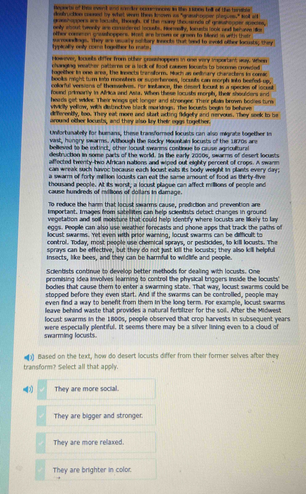 nagnet of thas eant and ahaon nehpenss in thas ceond tall of tha ternste 
destruction caused by what were then known as "gneashopper plaques." Not all 
grasshoppers are locusts, though. Of the many thousands of graashopper species,
only about twenty are conudered incusts. Mormally, lncusts look and behave like
other common grasshoppers. Most are brown or green to blend in with their
surroundings. They are usually sclitary insects that tend to avoid other locusts; they
typically only come together to mate.
However, locusts differ from other grasshoppers in one very important way. When
changing weather patterns or a lack of food causes locusts to become crowded 
together in one area, the insects transform. Much as ordinary characters in comic
books might tum into monsters or superheroes, locusts can morph into beefed-up,
colorful versions of themselves. For instance, the desert locust is a species of locusit
found primarily in Africa and Asia. When these locusts morph, their shoulders and
heads get wider. Their wings get longer and stronger. Their plain brown bodies turn
vividly yellow, with distinctive black markings. The locusts begin to behave
differently, too. They eat more and start acting fidgety and nervous. They seek to be
around other locusts, and they also lay their eggs together.
Unfortunately for humans, these transformed locusts can also migrate together in
vast, hungry swarms. Although the Rocky Mountain locusts of the 1870s are
believed to be extinct, other locust swarms continue to cause agricultural
destruction in some parts of the world. In the early 2000s, swarms of desert locusts
affected twenty-two African nations and wiped out eighty percent of crops. A swarm
can wreak such havoc because each locust eals its body weight in plants every day;
a swarm of forty million locusts can eat the same amount of food as thirty-five
thousand people. At its worst, a locust plague can affect millions of people and
cause hundreds of millions of dollars in damage.
To reduce the harm that locust swarms cause, prediction and prevention are
important. Images from satellites can help scientists detect changes in ground
vegetation and soill moisture that could help identify where locusts are likely to lay 
eggs. People can also use weather forecasts and phone apps that track the paths of
locust swarms. Yet even with prior warning, locust swarms can be difficult to
control. Today, most people use chemical sprays, or pesticides, to kill locusts. The
sprays can be effective, but they do not just kill the locusts; they also kill helpful
insects, like bees, and they can be harmful to wildlife and people.
Scientists continue to develop better methods for dealing with locusts. One
promising idea involves learning to control the physical triggers inside the locusts'
bodies that cause them to enter a swarming state. That way, locust swarms could be
stopped before they even start. And if the swarms can be controlled, people may
even find a way to benefit from them in the long term. For example, locust swarms
leave behind waste that provides a natural fertilizer for the soil. After the Midwest
locust swarms in the 1800s, people observed that crop harvests in subsequent years
were especially plentiful. It seems there may be a silver lining even to a cloud of
swarming locusts.
Based on the text, how do desert locusts differ from their former selves after they
transform? Select all that apply.
3 They are more social.
They are bigger and stronger.
They are more relaxed.
They are brighter in color.