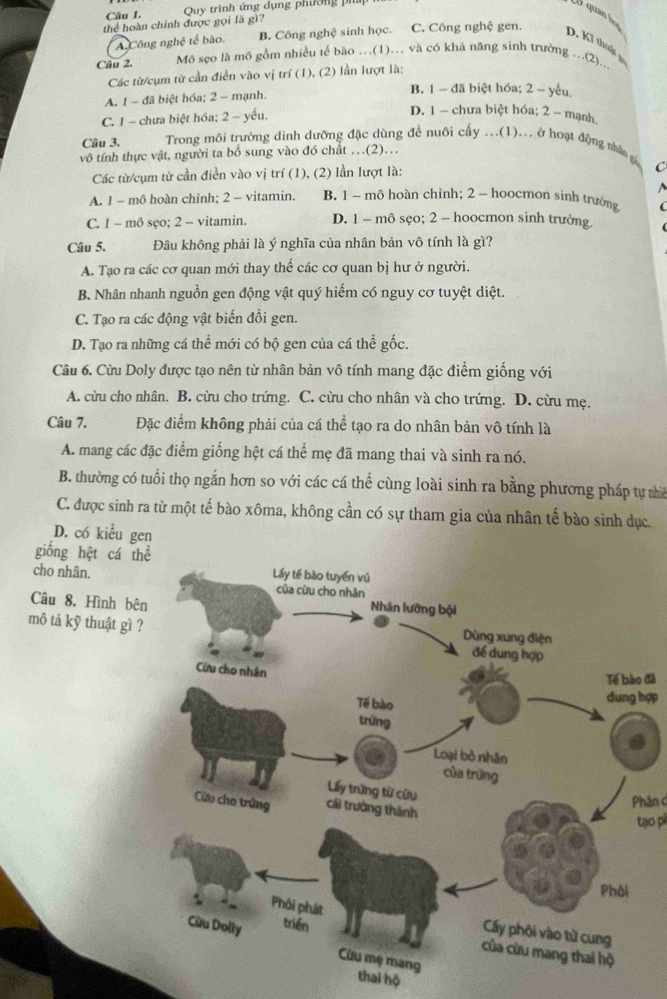 thể hoàn chỉnh được gọi là gì?  Quy trình ứng dụng phương phíp
U quan họ
A Công nghệ tế bào. B. Công nghệ sinh học. C. Công nghệ gen. D. Kĩ thuật 
Câu 2. Mô sẹo là mô gồm nhiều tế bào ..(1).. và có khả năng sinh trưởng ...(2)...
Các từ/cụm từ cần điền vào vị trí (1), (2) lần lượt là:
A. 1 - đã biệt hóa; 2 - mạnh.
B. 1 - đã biệt hóa; 2 - yếu
C. 1 - chưa biệt hóa; 2 - yếu,
D. 1 ~ chưa biệt hóa; 2 - mạnh
Cầu 3.  Trong môi trường dinh dưỡng đặc dùng để nuôi cấy ...(1)... ở hoạt động nhân 
vô tính thực vật, người ta bồ sung vào đó chất ...(2)...
Các từ/cụm từ cần điền vào vị trí (1), (2) lần lượt là: C
a
A. 1 - mô hoàn chỉnh; 2 - vitamin. B. 1 - mô hoàn chỉnh; 2 - hoocmon sinh trường
C. 1 - mô sẹo; 2 - vitamin. D. 1 - mô sẹo; 2 - hoocmon sinh trưởng.
Câu 5. Đâu không phải là ý nghĩa của nhân bản vô tính là gì?
A. Tạo ra các cơ quan mới thay thế các cơ quan bị hư ở người.
B. Nhân nhanh nguồn gen động vật quý hiếm có nguy cơ tuyệt diệt.
C. Tạo ra các động vật biến đổi gen.
D. Tạo ra những cá thể mới có bộ gen của cá thể gốc.
Câu 6. Cừu Doly được tạo nên từ nhân bản vô tính mang đặc điểm giống với
A. cừu cho nhân. B. cừu cho trứng. C. cừu cho nhân và cho trứng. D. cừu mẹ.
Câu 7. Đặc điểm không phải của cá thể tạo ra do nhân bản vô tính là
A. mang các đặc điểm giống hệt cá thể mẹ đã mang thai và sinh ra nó.
B. thường có tuổi thọ ngắn hơn so với các cá thể cùng loài sinh ra bằng phương pháp tự nhề
C. được sinh ra từ một tế bào xôma, không cần có sự tham gia của nhân tế bào sinh dục
D. có kiểu gen
giống hệt cá th
cho nhân.
Câu 8, Hình bê
mô tả kỹ thuật gì ?
đã
ợp
Phân c
tạo pì
thai hộ