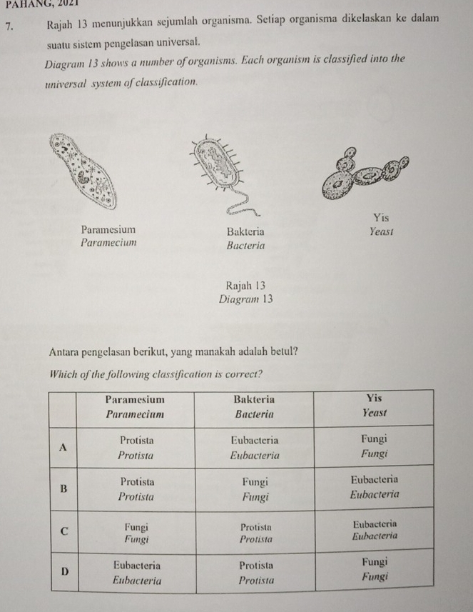 PAHÁNG, 2021 
7. Rajah 13 menunjukkan sejumlah organisma. Setiap organisma dikelaskan ke dalam 
suatu sistem pengelasan universal. 
Diagram 13 shows a number of organisms. Each organism is classified into the 
universal system of classification. 
Yis 
Paramesium Bakteria Yeast 
Paramecium Bacteria 
Rajah 13 
Diagram 13 
Antara pengelasan berikut, yang manakah adalah betul? 
Which of the following classification is correct?