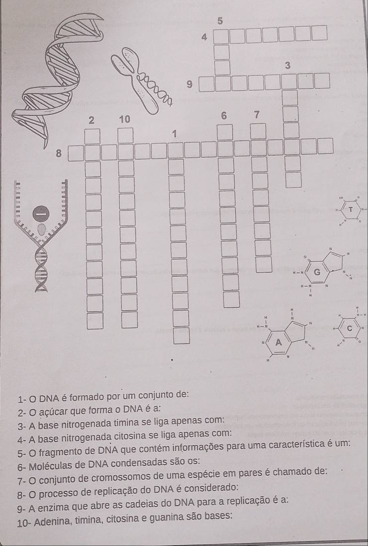 “ — H 
C 
1- O DNA é formado por um conjunto de: 
2- O açúcar que forma o DNA é a: 
3- A base nitrogenada timina se liga apenas com: 
4- A base nitrogenada citosina se liga apenas com: 
5- O fragmento de DNA que contém informações para uma característica é um: 
* 6- Moléculas de DNA condensadas são os: 
7- O conjunto de cromossomos de uma espécie em pares é chamado de: 
8- O processo de replicação do DNA é considerado: 
9- A enzima que abre as cadeias do DNA para a replicação é a: 
10- Adenina, timina, citosina e guanina são bases: