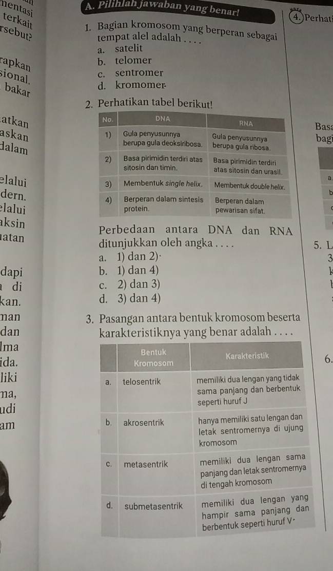 Pilihlah jawaban yang benar! 4.) Perhat
mentasi terkail 1. Bagian kromosom yang berperan sebagai
rsebut
tempat alel adalah . . . .
a. satelit
rapkan
b. telomer
c. sentromer
sional.
bakar
d. kromomer
2. Perhatikan tabel berikut!
atkan
Bas
askan
bagi
dalam
elalui
a
dern.
b
lalui 
aksin
Perbedaan antara DNA dan RNA
atan ditunjukkan oleh angka . . . . 5. L
a. 1) dan 2)· 3
dapi b. 1) dan 4) 
di c. 2) dan 3)
kan. d. 3) dan 4)
man 3. Pasangan antara bentuk kromosom beserta
dan karakteristiknya yang benar adalah . . . .
Ima
ida. 
6.
liki
ma,
udi
am