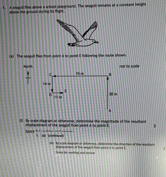 A seagull flies above a school playground. The seagull remains at a constant height 
above the ground during its flight. 
(a) The seagull flies from point A to point E following the route shown. 
North not to scale 
(i) By scale diagram or otherwise, determine the magnitude of the resultant 
displacement of the seagull from point A to point E. 2 
Space for working and eprwe 
1. (a) (continued) 
(11) By scale diagram or otherwise, determine the direction of the resultant 
displacement of the seagull from point A to point E. 2 
Space for working and answer